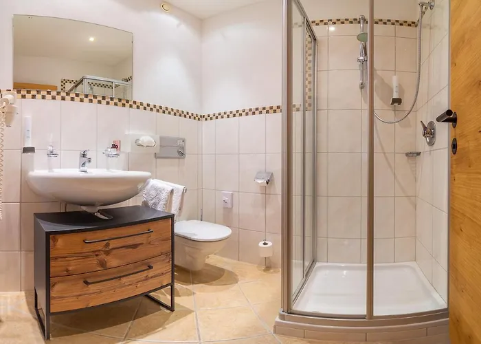 ゾンホフ ホテル 4*